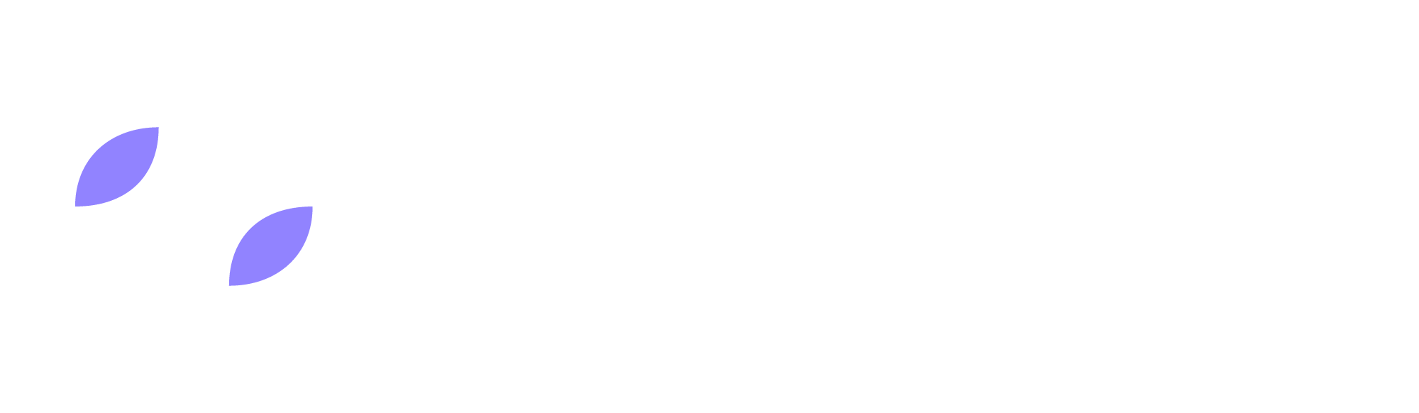 Belisoft