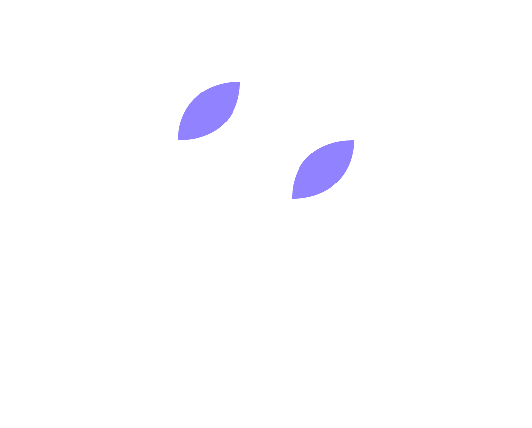 Belisoft - Architectural Code